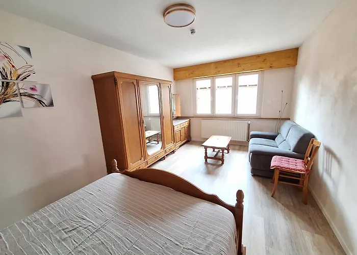 Des Quatre Vents 6 A 8 Personnes Proche Strasbourg Au Calme, Jardin,ping Pong, Oeuf Frais *